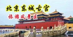 美女被操网站免费中国北京-东城古宫旅游风景区